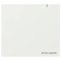 Busch-Jaeger System Access Point 3.0 Wireless, 2CKA006200A0967 SAP13WL