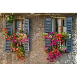 Fototapete PAPERMOON "Alte Fenster", bunt, B:4,50m L:2,80m, Vlies, Tapeten