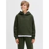 JACK & JONES JUNIOR Jjestar JJ SWEAT HOOD NOOS Jnr - 140