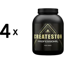 Peak Performance Createston Professional Fresh Orange Pulver 3150 g