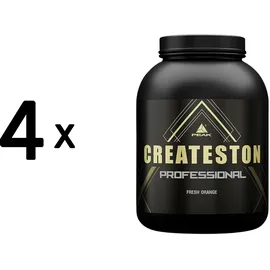Peak Performance Createston Professional Fresh Orange Pulver 3150 g
