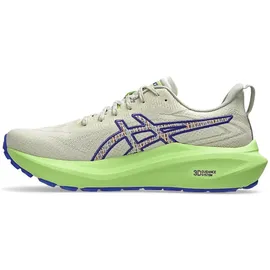 Asics GT-2000 13 TR Herren Laufschuhe, braun, Größe 44 - 44