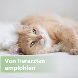 ardap - Felisept Zahnpflege Pads für Katzen 50 Stück