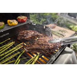 Weber Spirit E-310 schwarz 1500862