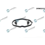 DR.MOTOR AUTOMOTIVE Dichtung, Kraftstoffpumpe