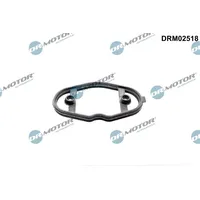 DR.MOTOR AUTOMOTIVE Dichtung, Kraftstoffpumpe