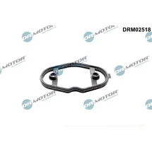 DR.MOTOR AUTOMOTIVE Dichtung, Kraftstoffpumpe