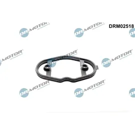 DR.MOTOR AUTOMOTIVE Dichtung, Kraftstoffpumpe