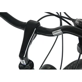 Dacapo Ravenna 50 28 Zoll RH 48 cm Herren grün