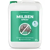 Silbekraft Milbenspray für Matratzen & Textil 2 l Spray