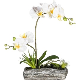 Creativ green Kunstpflanze »Phalaenopsis«, weiß
