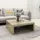 furnicato Couchtisch Braun Eiche 100 x 35 x 100 cm