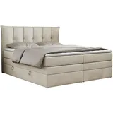 MKS Premium 10 King 200 x 200 cm H4 Beige