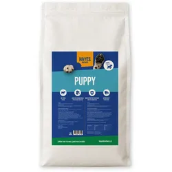 Hayes Brothers Welpen | 14KG