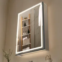 Vevor Spiegelschrank Bad mit LED Beleuchtung (50 x 70 cm), LED Badezimmerschrank Einbau- oder Wandmontage, 3-farbig dimmbarer mit Bodenbeleuchtung, Verstellbarer Regalaufbewahrung