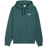 Puma Essentials Relaxed No.1 Logo Hoodie Grün S