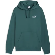 Puma Essentials Relaxed No.1 Logo Hoodie Grün S