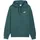 Puma Essentials Relaxed No.1 Logo Hoodie Grün S
