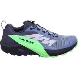 Salomon Sense Ride Herren Flint Stone/Black/Green Gecko 42