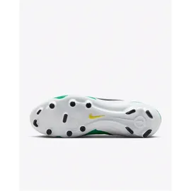 Nike Tiempo Legend 10 Academy FG Herren Stadium Green/Dark Obsidian 43