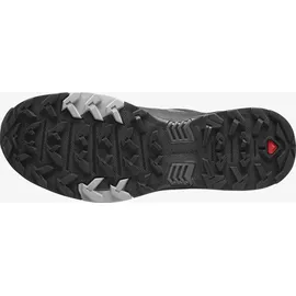 Salomon X Ultra 4 Gore-Tex Herren magnet/black/monument 42 2/3