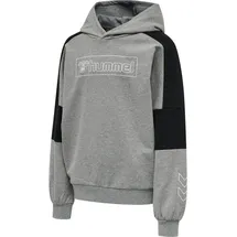 hummel Hoodie Hmlboxline Mädchen Hummel grau 122