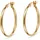 FAVS Creolen 88440048 Gelbgold 375