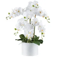 Fuchs versand 24/7 Kunstpflanze Phalaenopsis weiß Kunststoff B/H/L: ca.