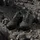adidas Terrex Skychaser AX5 GTX Herren Shadow Olive/Carbon/Bronze Strata 48