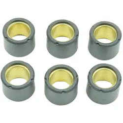 Athena S.p.A. Variator Rollers 19x15,5mm 5,2gr - Set van 6