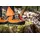 Haix Protector FOREST 2.1 GTX orange UK 5.5 EU 39