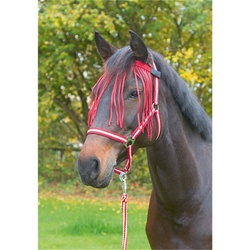 Fliegenfransen für Pferde und Ponys, Fliegenschutz - dunkelrot, Warmblut (Gr.3)