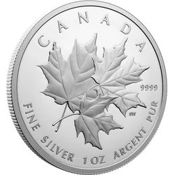 Kanada 2025: Silbermünze "Triple Maple Leaf - dreifaches Ahornblatt" PP