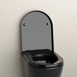 Bernstein WC-Sitz U1002 Schwarz mit LED-Beleuchtung