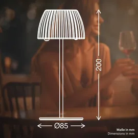 Briloner Riffle Mini LED Tischlampe Akku Tischleuchte Dimmbar kabellos IP44 Anthrazit