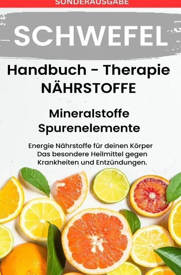 Schwefel- Nährstoffe Boost Handbuch - Mineralstoffe Und Spurenelemente - Sonderausgabe Mit 3 Rezepte - Daniela Grafschafter  Kartoniert (TB)