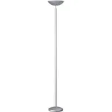 Unilux Stehlampe, Dely 2.0 LED Deckenfluter, Dimmfunktion, neigbare Lichtschale, metallgrau, 400153720