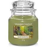 Yankee Candle Autumn Nature Walk 411g