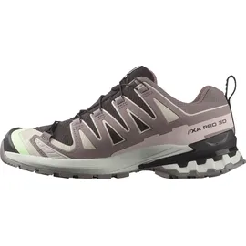 Salomon XA Pro 3D V9 GTX Damen Black/Patina Green/Gray Violet 40