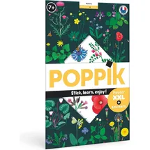 bayard edition sas / poppik Sticker Lernposter Botanik