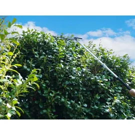 Zipper ZI-GPS252 Gartenpflegeset