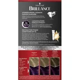 Schwarzkopf Brillance Intensiv-Color-Creme 888 dunkle kirsche