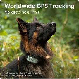 tractive GPS DOG XL Abenteuer Edition -