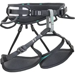 Climbing Technology Ascent - Klettergurt - Grey/Green - L/XL