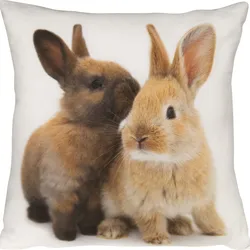 Kissenhülle BUNNY BUDDIES - braun