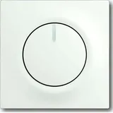 Busch-Jaeger Zentralscheibe stws mt 6540-774