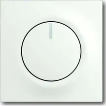 Busch-Jaeger Zentralscheibe stws mt 6540-774