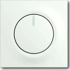 Busch-Jaeger Zentralscheibe stws mt 6540-774