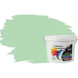 RyFo Colors Fassadenfarbe Silikonharz Fassadenfarbe Pastellgrün 3l, 1 L ca. 6 m2, Wasserabweisend, diffusionsfähig, schützt vor Schmutz, Algen, Pilzen grün