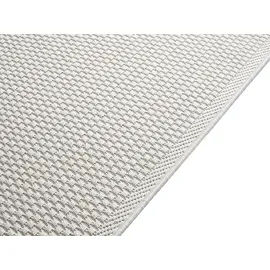 The CarPET - He Carpet Toulouse - In- Und Outdoor Teppich Für Wohnzimmer Und Küche - Pflegeleicht, Creme, 160 X 220 Cm